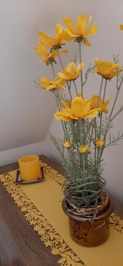 Napko Apartman Sopron Buitenkant foto